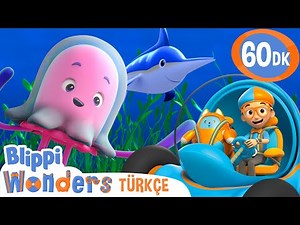 Blippi ile Okyanus Altında 🪼 | Blippi Türkçe - Çocuklar için Eğitici Videolar