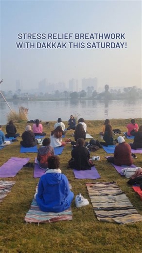 Tap tap the link in bio to book! | Ahimsa Egypt | Facebook