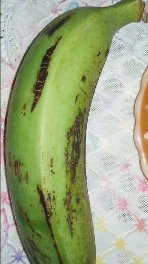 How to Grow Plantain Seeds