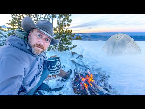 Wolf Reintroduction Backfired | Here's What Happened in Idaho