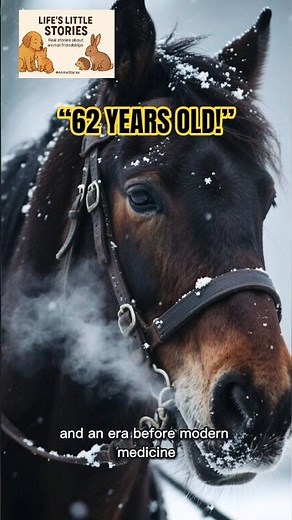 Old Billy: The Oldest Horse Ever Recorded | True Story #story #truestory #shorts