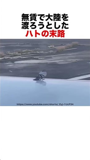 Please refrain from riding for free