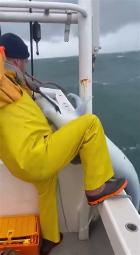 sea creature catching fish day 42 #shortviral38 #fishing #shorts #shortfeed #shortvideo #subscribe