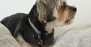 Автор видео на Pexels: Sarah  Chai