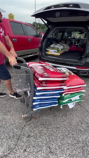 593K views · 10K reactions | #lowrider #imasurvivorsanctuary #longhornlester | Ima Survivor Donkey and Farm Animal Sanctuary | Facebook