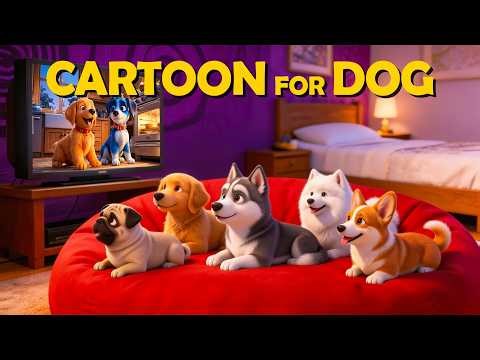 Dog Cartoon:Video Entertain & Relax for Dog to Watch a Home Alone All Day🐶Anti-Stress Music for Dog