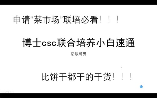 博士申请csc联培个人经验分享（小白流程速通版）