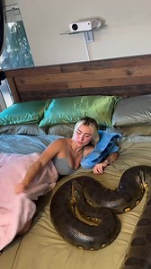 2.2M views · 10K reactions | I don't know why people like play with animal see this one see what this Python will do to her. #highlightseveryone #fblifestyle #contentcreator | John Obu | Facebook