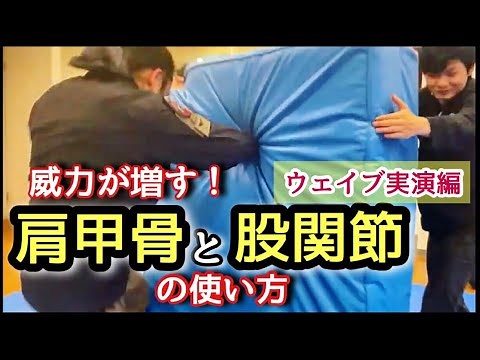 "攻撃力が増す" 肩甲骨と股関節の使い方【坂口拓のウェイブ講座】