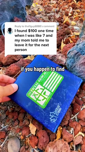 17K views · 193 reactions | Replying to @that1guy6888 it s rare to find money inside of caches, but if you re the FTF or the previous player was nice (like me ) then you might get lucky! #Geocaching #Hullsome #TreasureHunting #CashInACache #CacheMeIfYouCan | Linda Hawkyard | Facebook