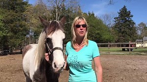 Meet Laurie Zaleski, Founder and President of the Funny Farm Rescue & Sanctuary 501 (c)(3) charity located in Mays Landing, NJ and Stormie! More than 450 animals have an incredible place to live and enjoy life because of this amazing farm and behind the scenes, hundreds more have been saved and helped because of the Funny Farm! You can visit free of admission any Sunday or Tuesday from 8am-4pm. Donations of all types are happily accepted and appreciated. See a goose who thinks she's a dog, a dog