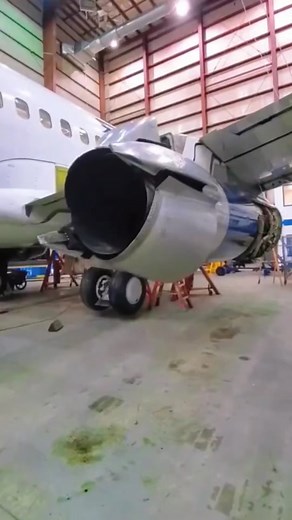 Exploring Veggie Tales Larry Boy and the Rumor Weed Episode