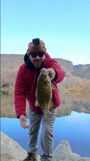 Big Snake River Smallmouth Bass #idahofishing #exploreidaho #snakeriverfishing #gamefish #youtube