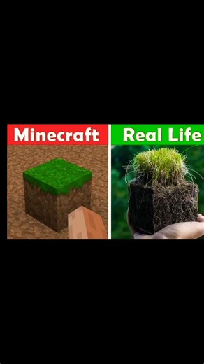 minecraft vs real life