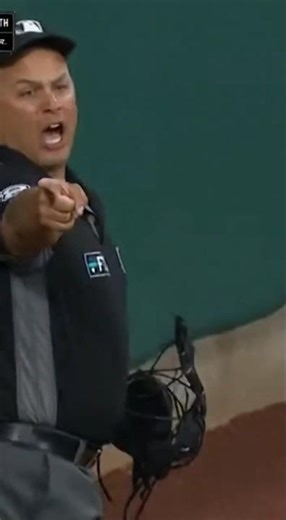 🎬 Ump Was NOT Having It 😳