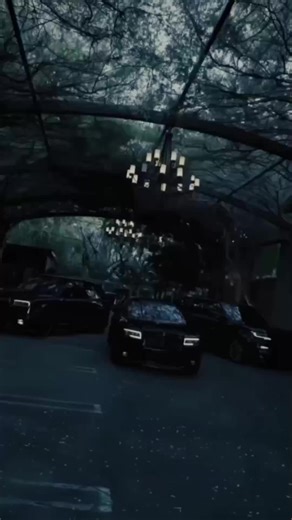 wealthy #tiktokgostay #luxury #money #motivation #fyp