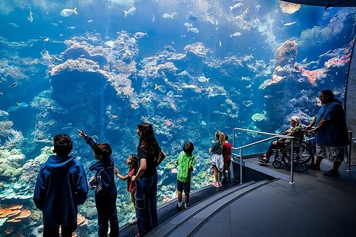 California Academy of Sciences General Admission Ticket