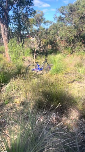 Mountain Bike Riding Tips for Beginners and Pros