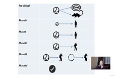The Methods: Clinical Trial Phases