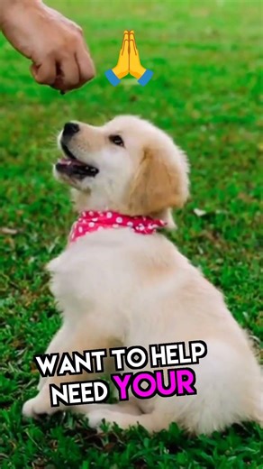 How to post when you're not 'creative' (and get comments) #substack #shorts