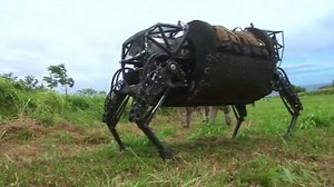 US marines test robotic mule at RIMPAC, Hawaii