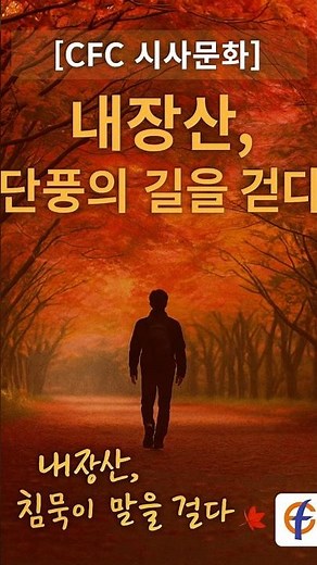[CFC Current Affairs and Culture] #5 Naejangsan Mountain, Walking the Autumn Foliage Path