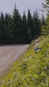 45K views · 8K reactions | Not the weekend we had planned but that’s rally 路‍♂️At least we ended the week on a positive with 3 stage wins and a good feeling with the car! Big thanks to @printsportracing for all the hard work and @elliott_edmondson Onwards and upwards!  | Oliver Solberg | Facebook