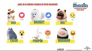 Universal Pictures DVD Blu-ray on Reels