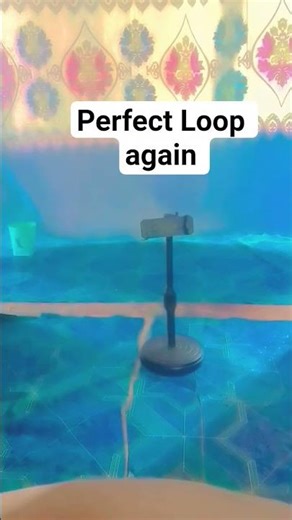 perfect Loop again? #loop #fypシ #shortvideo #lifeisbutadream