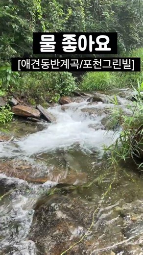 애견동반계곡 포천그린빌/포천시 신북면 탑신로978 #애견동반카페 #애견동반계곡 #포천그린빌 #그린벨3