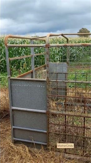 farm tour, wagon hay ride, tolga sunflower farm
