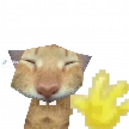 Hello Cat Animation: The Perfect Greeting