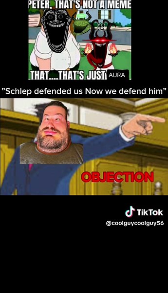 Understanding the Schlep Objection in Law