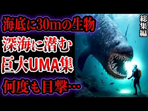 【総集編】【ゆっくり解説】深海で目撃された超巨大UMA集【UMA・未確認生物】