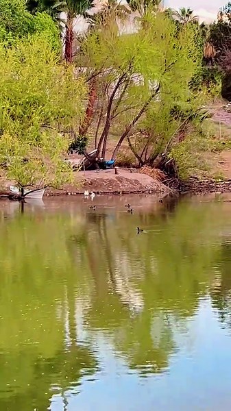 Videos de pily❤️ (@pily_fernandezz) con “sonido original - pily❤️”