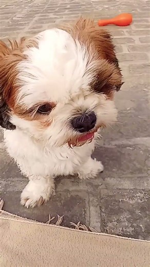 #song 🎊💝🎉🧿