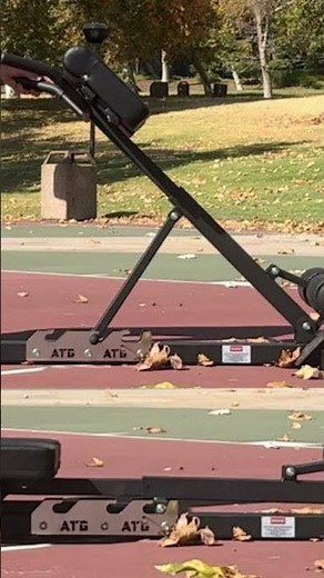 Pre-Assembled Back Extension Bench | Build Core & Glute Strength at Home