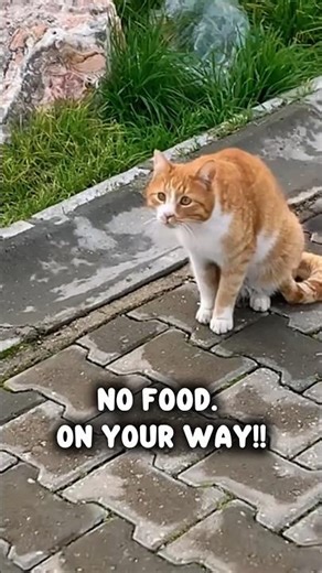 The “sniff test” in action on a passer-by