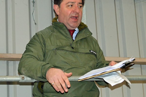 Record price per-kilo averages headline flying store cattle trade