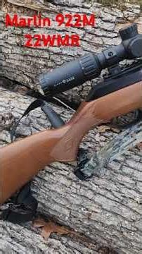 Squirrel hunting with the Marlin 922M 22 WMR #Marlin #22Magnum #squirrelhunting