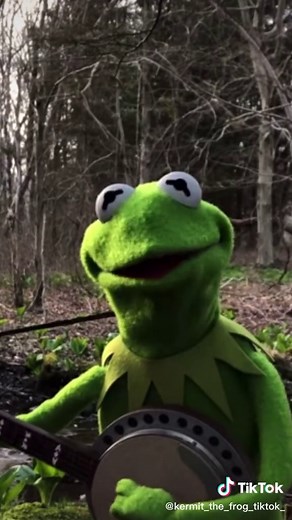 A Special Performance of ‘’Rainbow Connection’’ from Kermit the Frog | T... #foryou #foryoupage #fyp #song #rainbowsong