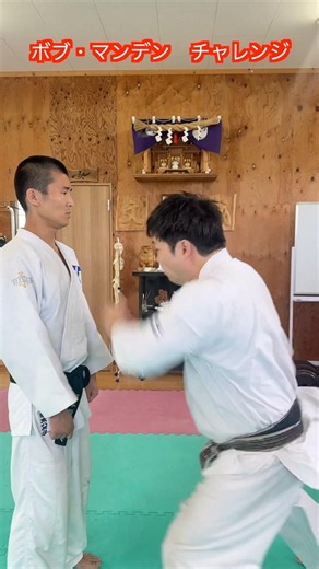 【武道・武術】2発の突きを1発の音で打ち込むことは可能か！？ボブマンデンチャレンジ！！#aikido ＃karate #martial #武道 #空手＃筋トレ
