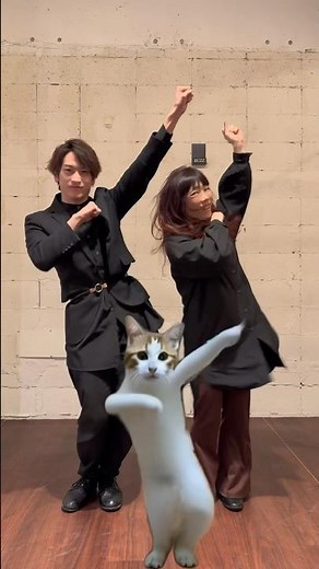 ちゅぴちゅぴちゃぱちゃぱしてみた #ちゅぴちゅぴちゃぱちゃぱ #猫ミーム #踊ってみた #catmemes