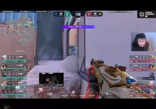 DANKING语出惊人 vit和lev都是te的儿子