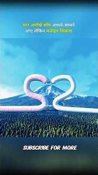 Four unique snake scenes. #shorts