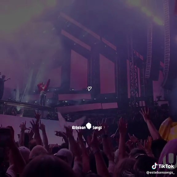 Ame este ID de canciones de Martin Garrix