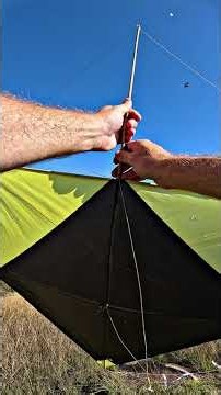 Whenever a Big Kite Goes Up They Want to Cut It