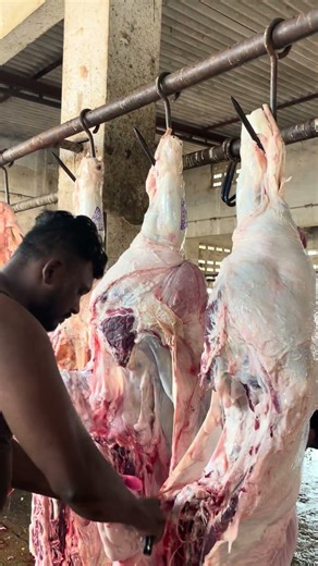 Professional Beef Processing in Slaughterhouse | Fresh Meat Cutting Process