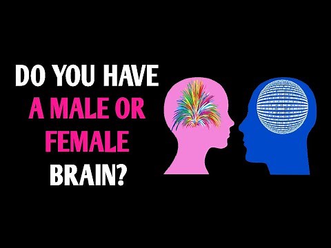DO YOU HAVE A MALE OR FEMALE BRAIN? Personality Test Quiz - 1 Million Tests
