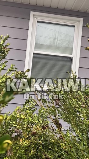 Hilarious Kakajwi Comedy Compilation - Part 10